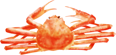 旨味たっぷり、新鮮な浜ゆで蟹