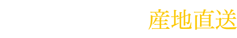 北海道白老直送ギフト